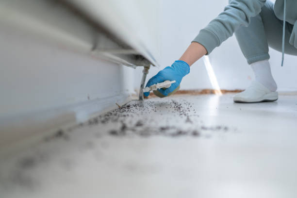 Best Residential Pest Control  in Westminster, CA